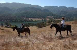 Cowgirl Bootcamp Cowgirl Boot Camp