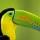 The Essential Costa Rican Nature Experience