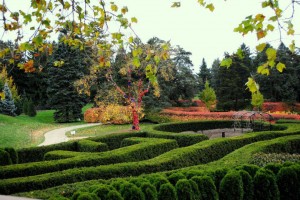 Getaway in Style…Stay in Lisle!