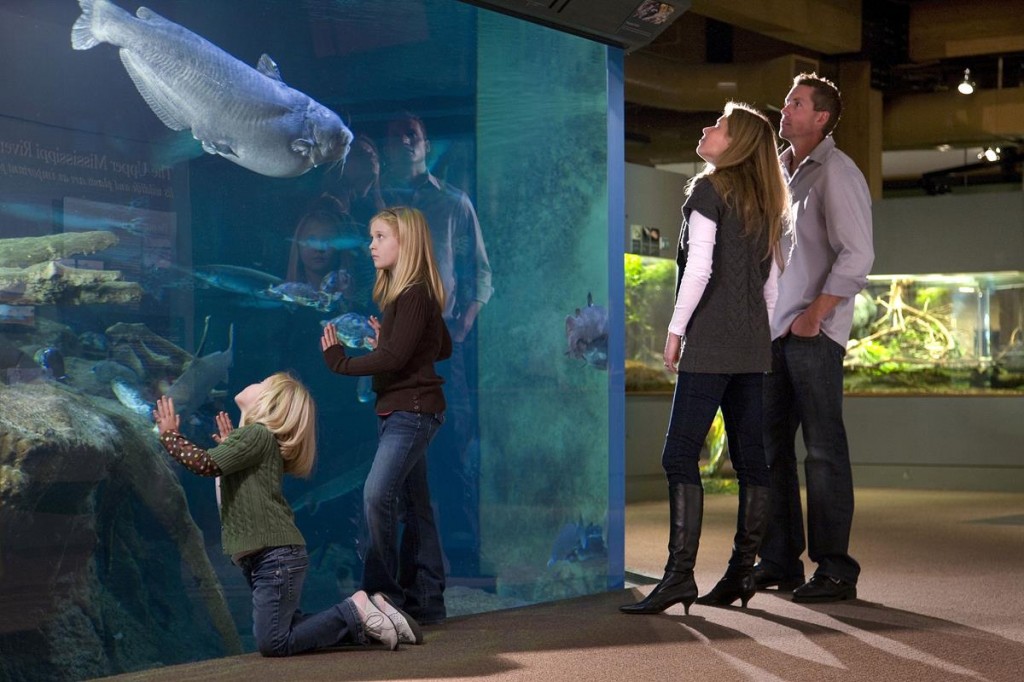 Family at the National Mississippi River Museum National Mississippi River Museum
