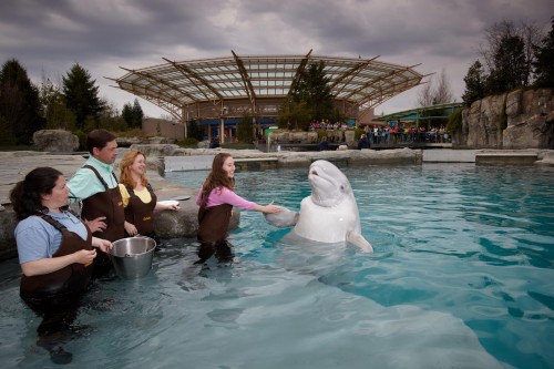 16 Must Visit U.S. Aquariums in 2016