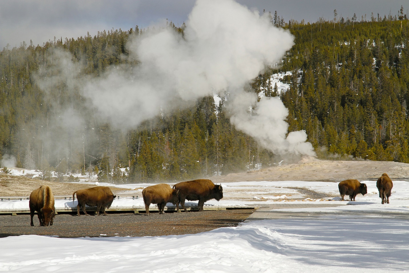 Western Itinerary: Winter In Yellowstone