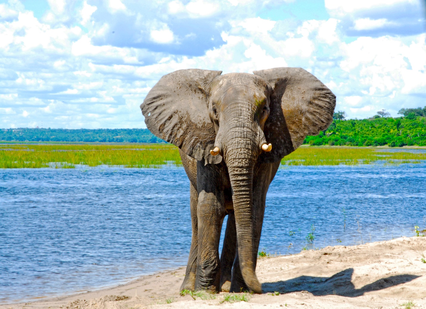 Africa Itinerary: Exploring South Africa, Victoria Falls & Botswana