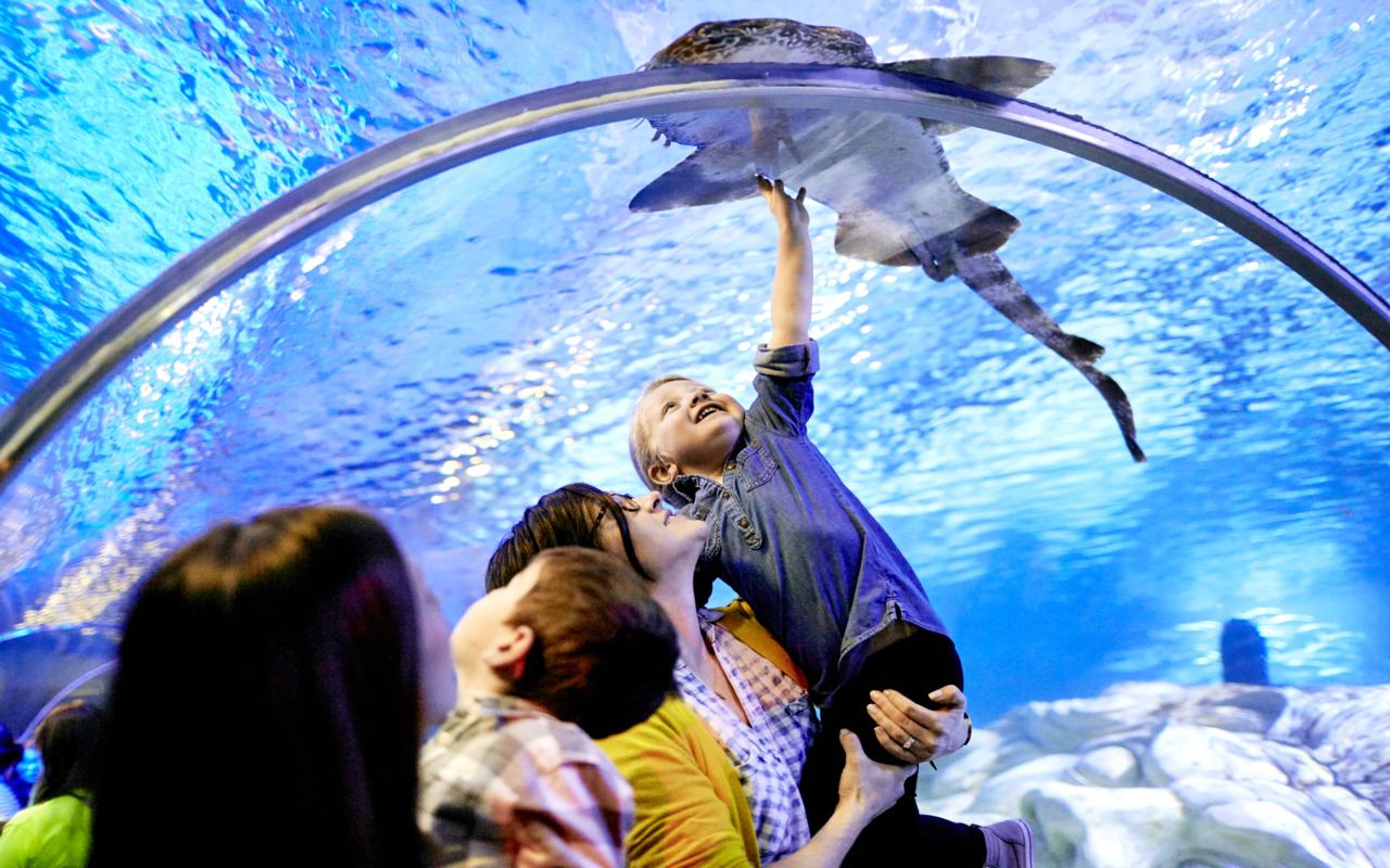 Get Ready to Celebrate 25 Years with Mall of America