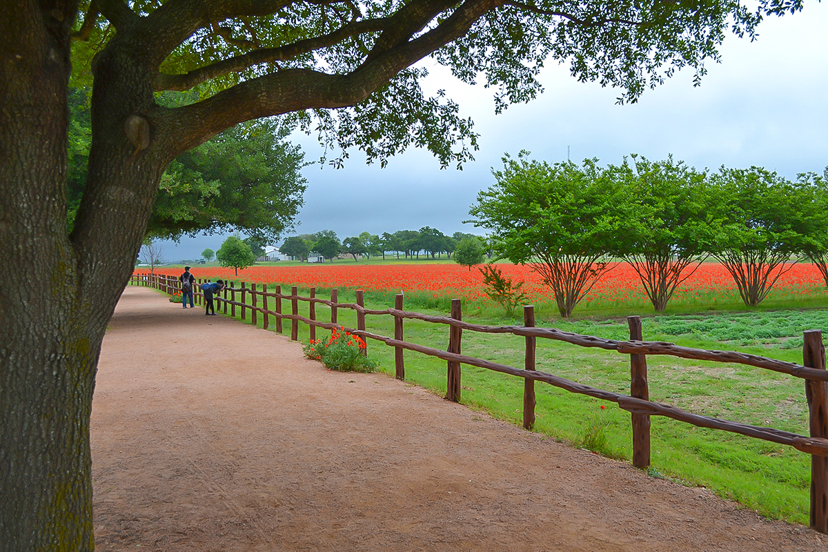 Texas Hospitality and Impressive Attractions Lure Groups to Fredericksburg
