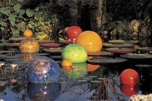Chihuly at Biltmore