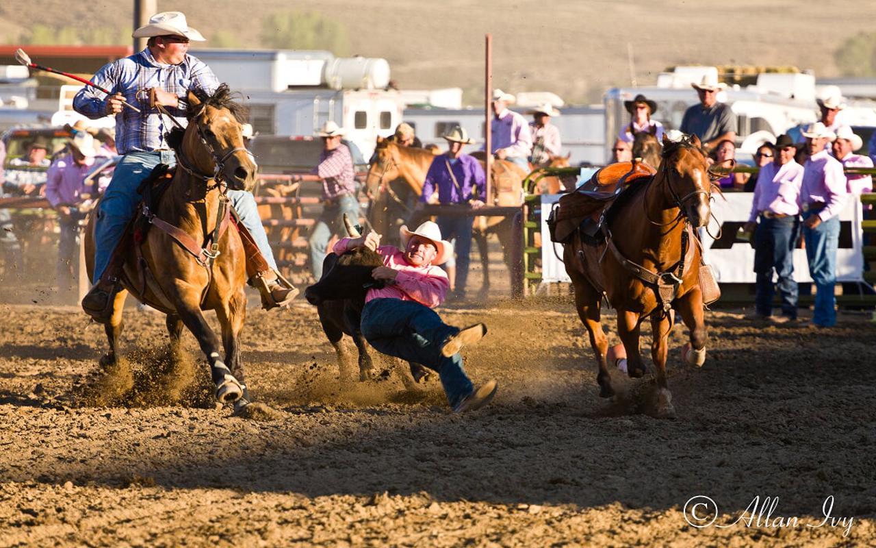 Cattleman Days