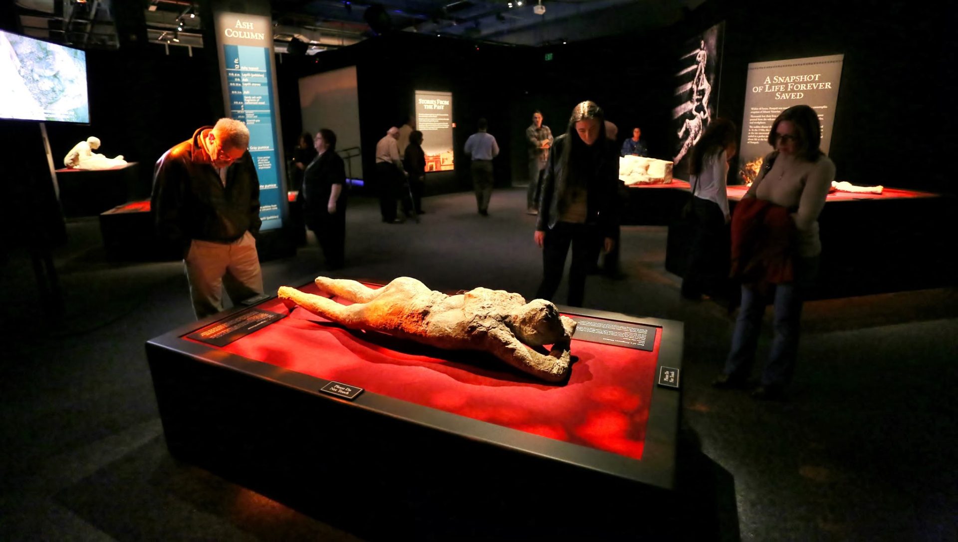 Pompeii exhibit