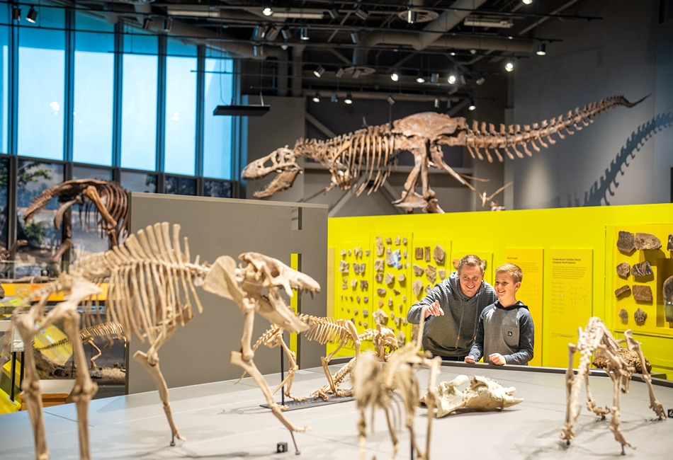 State Museum