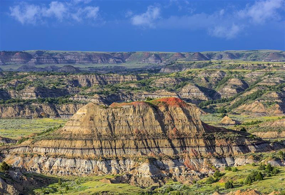 Theodore Roosevelt National Park - South Unit