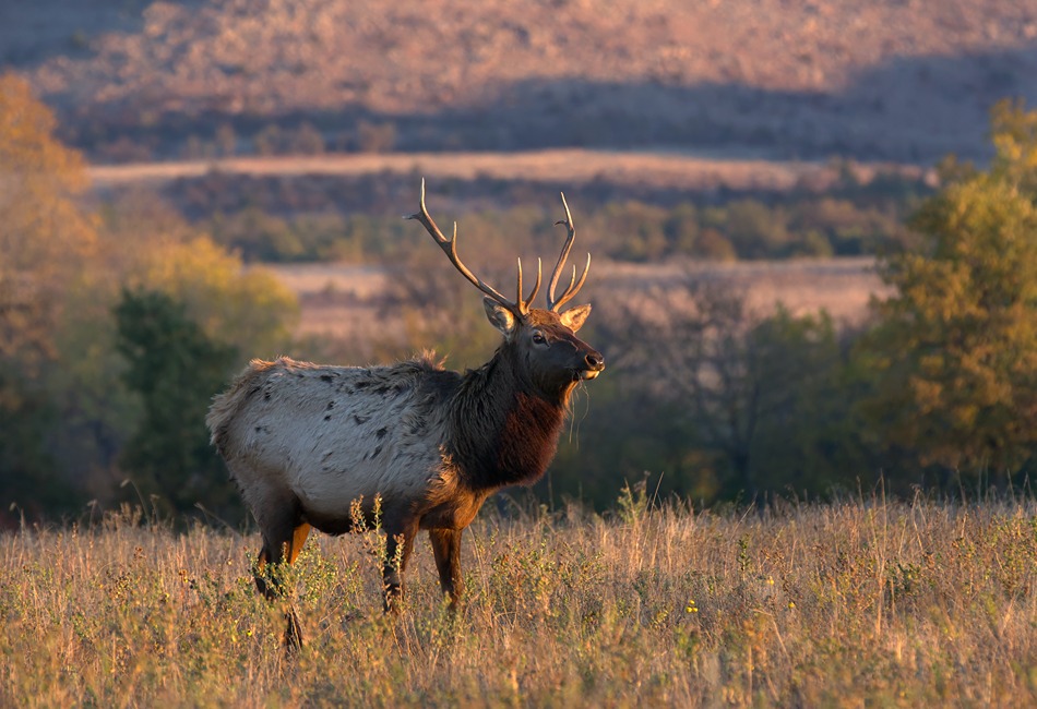 The nature in the Wichita Mountains Wildlife Refuge is breathtaking. Photo by Larry Smith