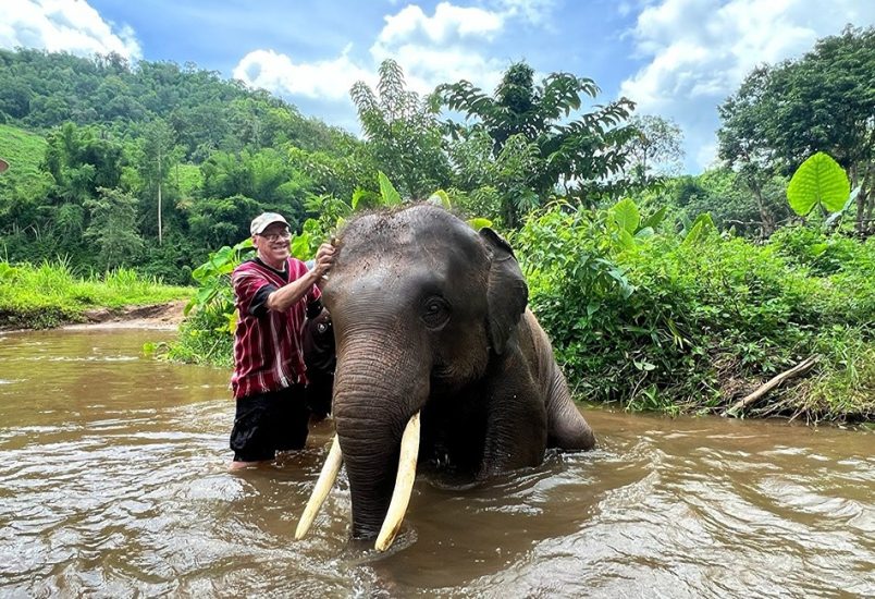 Patara Elephant