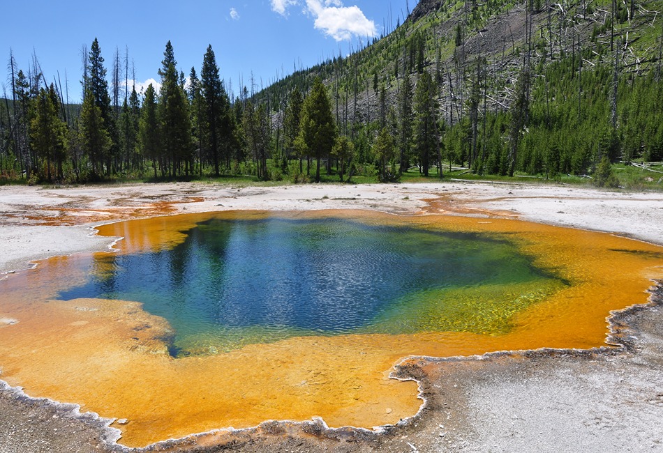 Yellowstone