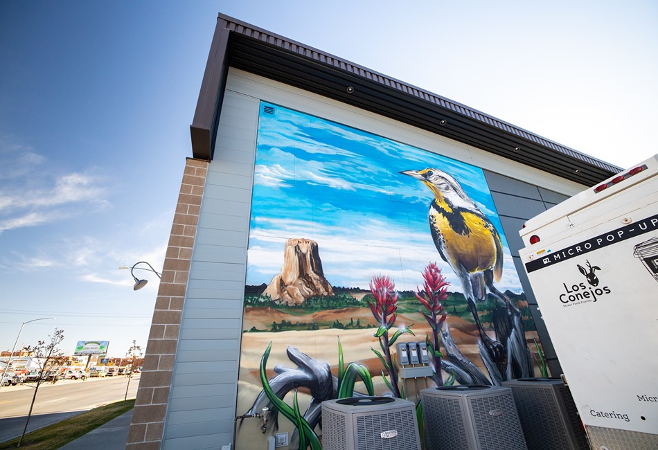 Colorful Mural
