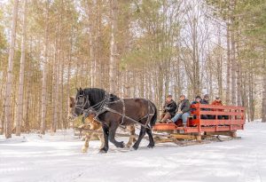 Forest History Center
