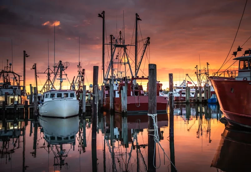 Viking-Village_iStock-1212025511