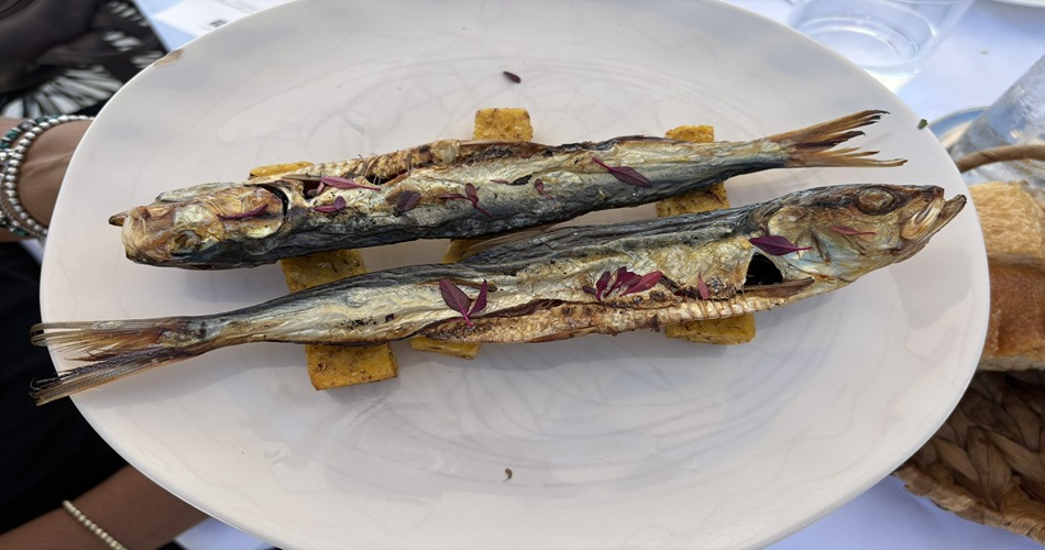 Often paired with polenta and locally referred to as “sardines,” the freshwater shad fish are called sardèna in Italian due to their sardine-like appearance. (Alison Ramsey Photo)