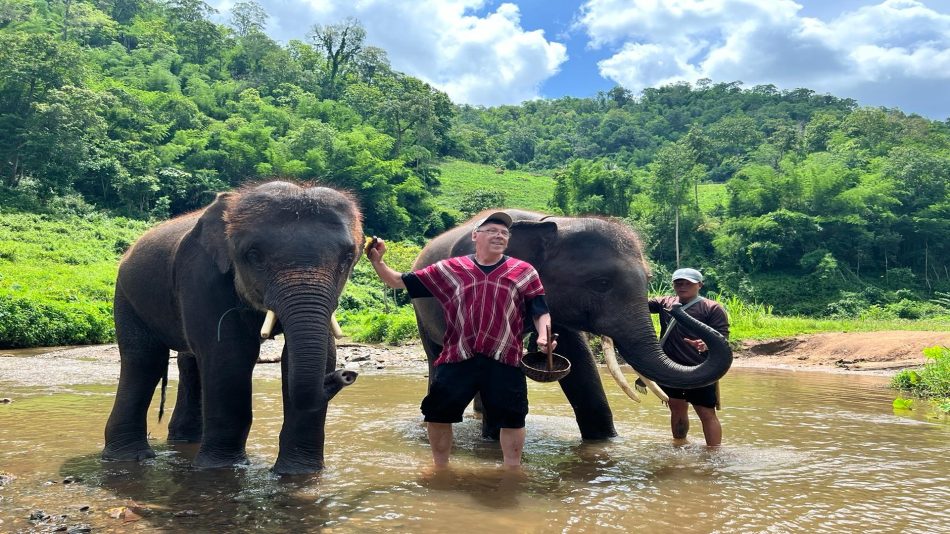 Patara Elephant Conservation, a sanctuary in northern Thailand, offers hands-on encounters. 