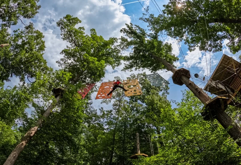 Alligator river national wildlife