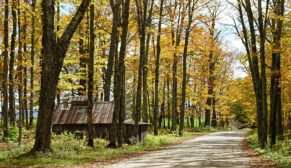 Fall Season in Vermont