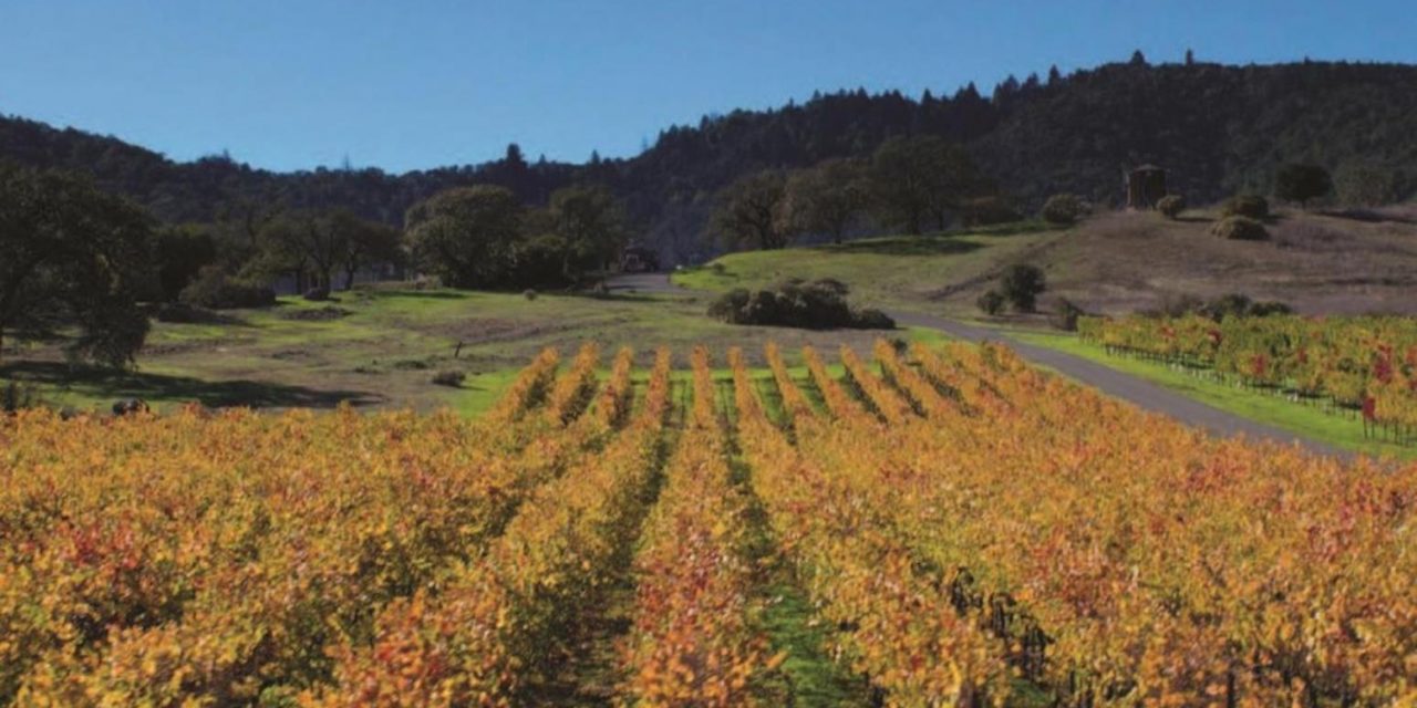 Savoring California’s Napa Valley