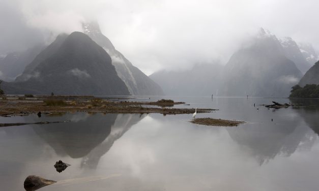 Must-See New Zealand