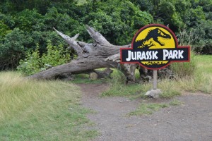 Jurassic Park Set Prop