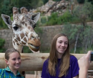 Discover America's only mountain zoo and the new Encounter Africa exhibit