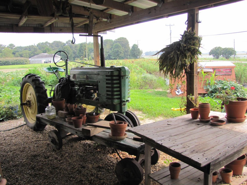Virginia Countryside