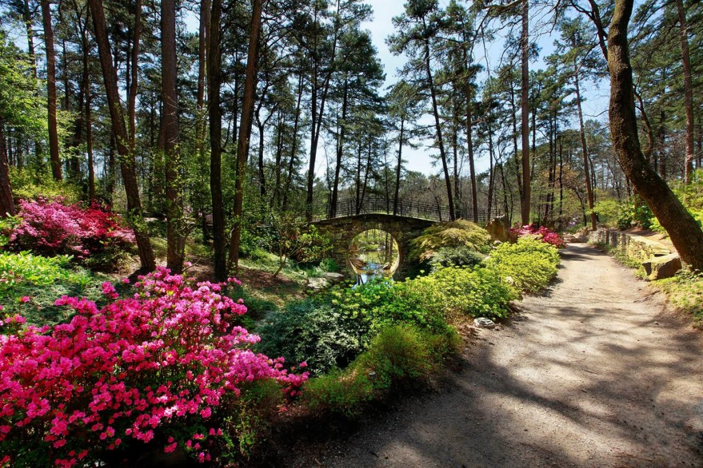 Bridge of the Full Moon, Garvan Woodland Gardens