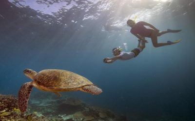 Australian Adventures on Land and Sea