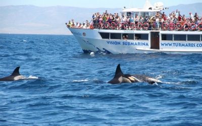 Algeciras, Spain: Gateway to Discovery