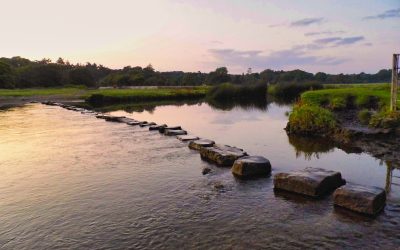 Ten Stepping Stones to Setting and Achieving Your Goals