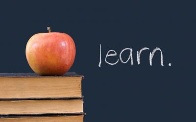 Families Make the World A Classroom Through Group Travel