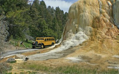 Yellowstone – A Park for all Seasons