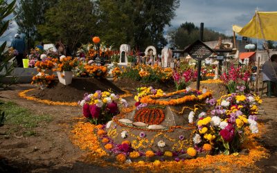 Wrap a Group Trip Around a World Event