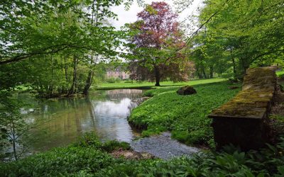 Germany’s Natural Side Attracts Groups