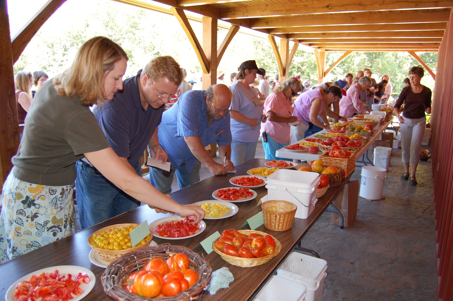 tomato tasting at Seed Savers brings thousands to Decorah each September