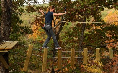 Exploring Northeast Arkansas with a Group
