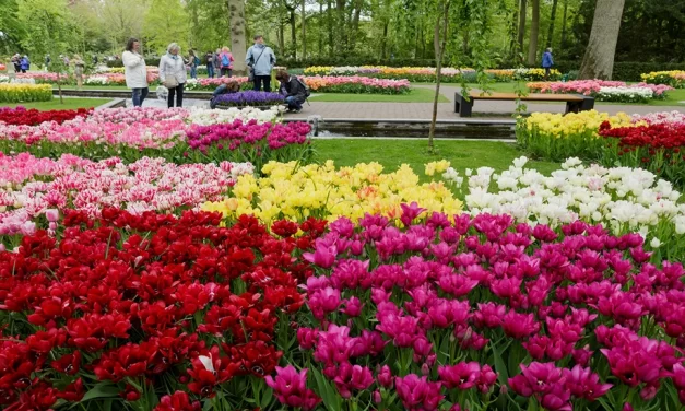 Afloat on the Waterways of Holland and Belgium