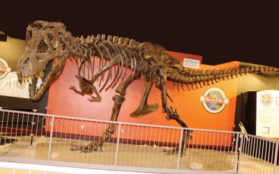 Sioux Falls: Lots of Activities, Little Travel Time