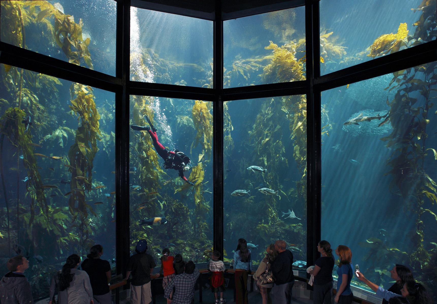 Outstanding Aquariums in the West