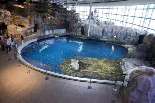 Shedd Abbott Oceanarium