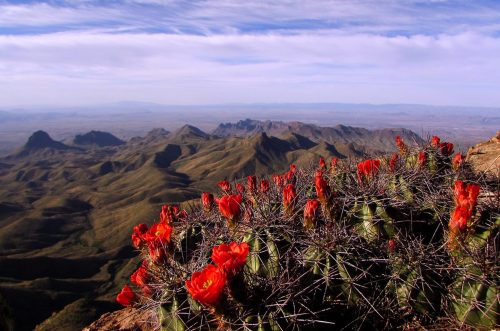 Big Bend