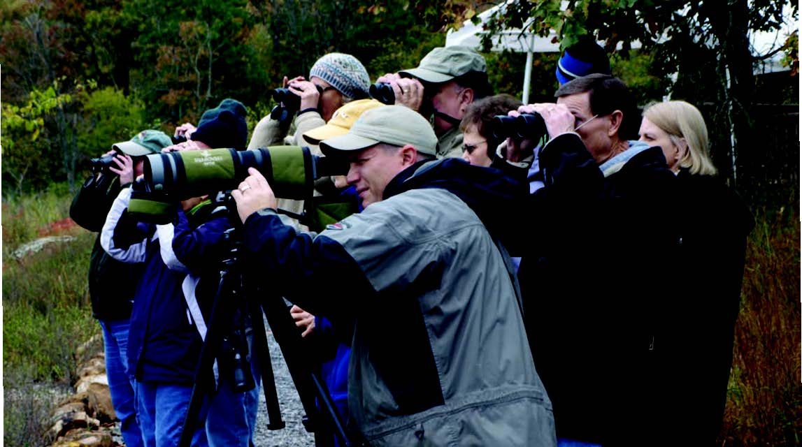 Soaring in Popularity: 8 Premium Birding Destinations