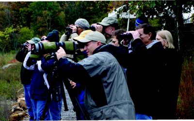 Soaring in Popularity: 8 Premium Bird Watching Destinations