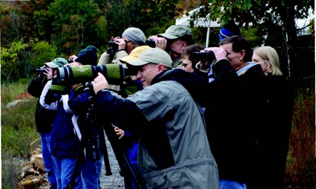 Soaring in Popularity: 8 Premium Bird Watching Destinations