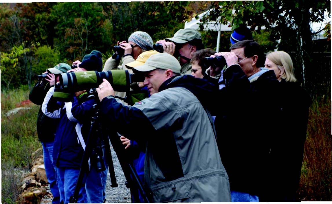 Bird watching is growing in popularity around the country