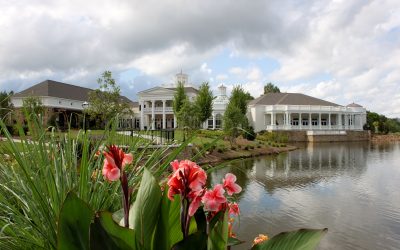6 Alabama Gardens Where Beauty Reigns Year-Round