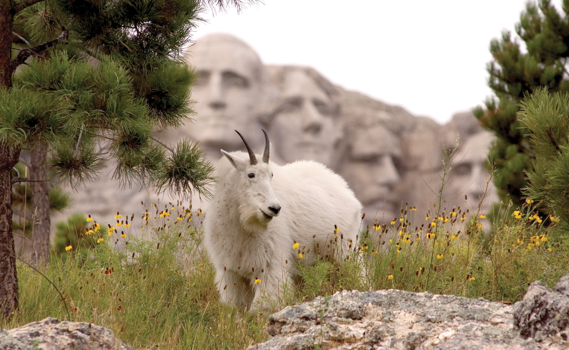 The Best Things to Do in South Dakota